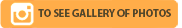 GALERÍA